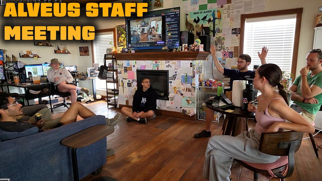 HOW ALVEUS WORKS (Alveus Staff Meeting)