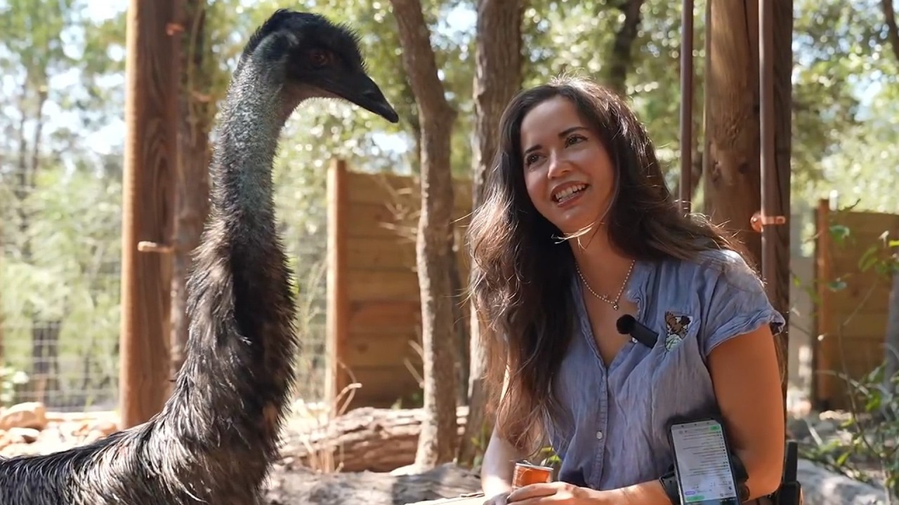 Maya Hanging Out With The Animals For 2 Hours