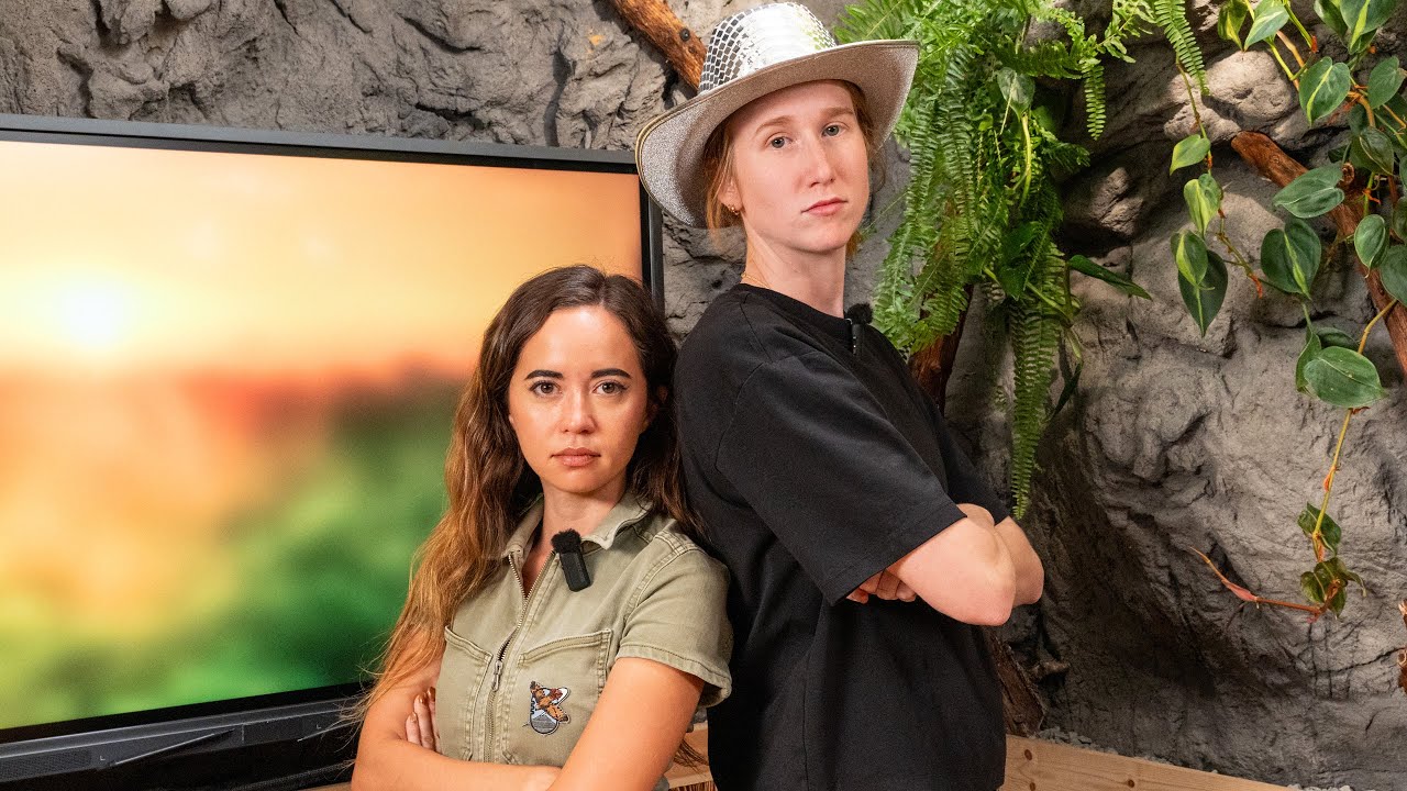 KatieB Toured our Animal Sanctuary