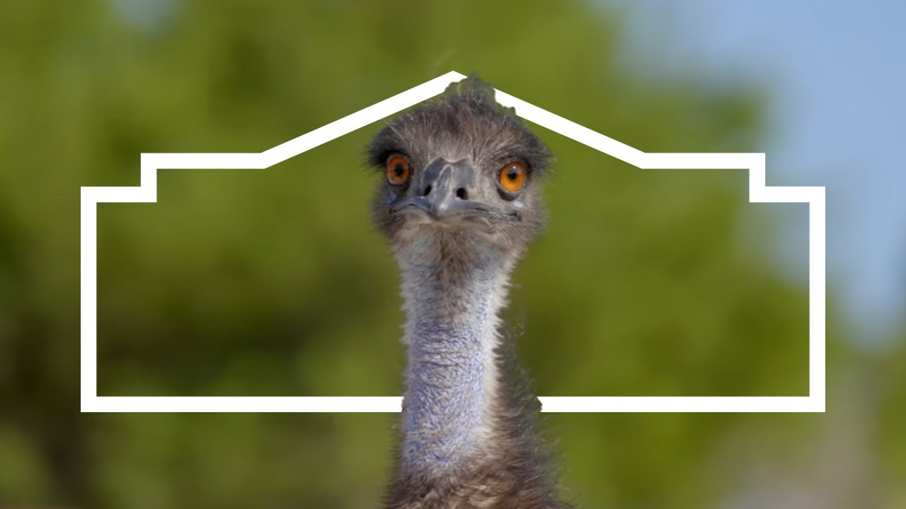 Lowe's Red Vests x MrBeast