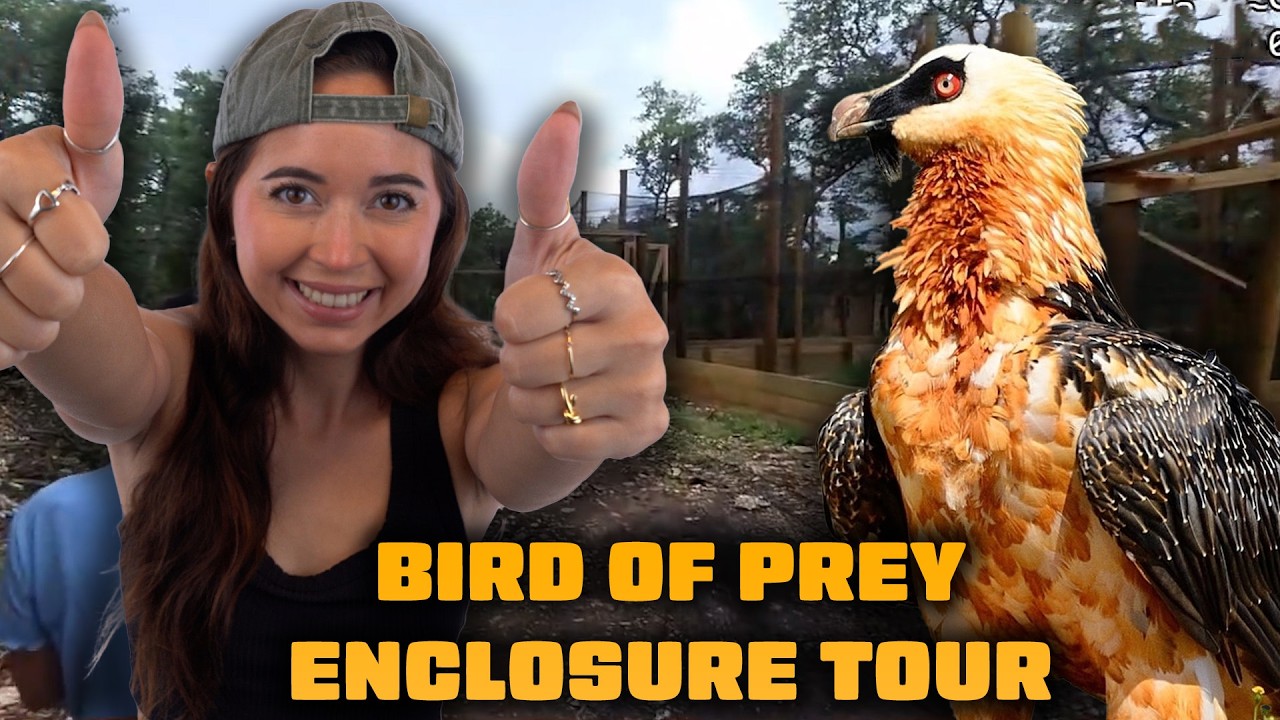 Touring the Bird of Prey Enclosures with Maya!