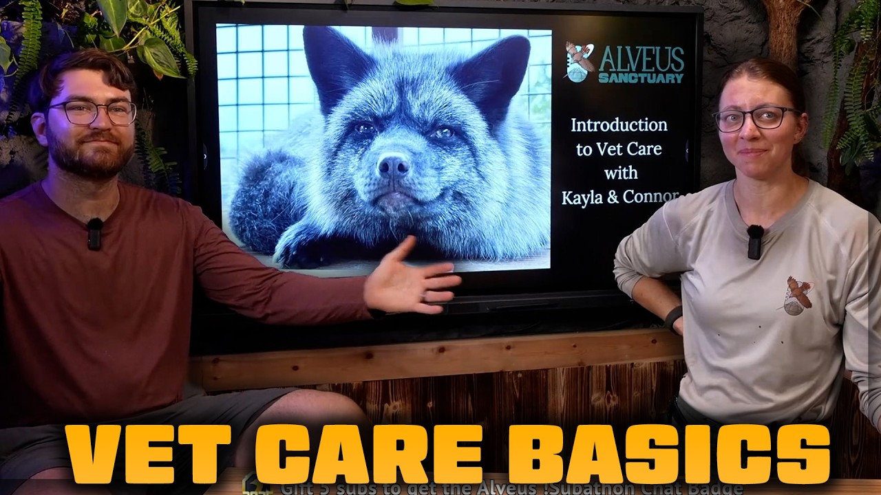 Intro To Vet Care with Kayla and Connor!