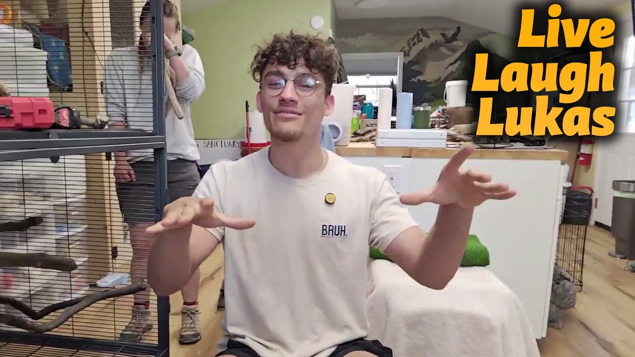 Building Bird Enclosures | Live Laugh Lukas