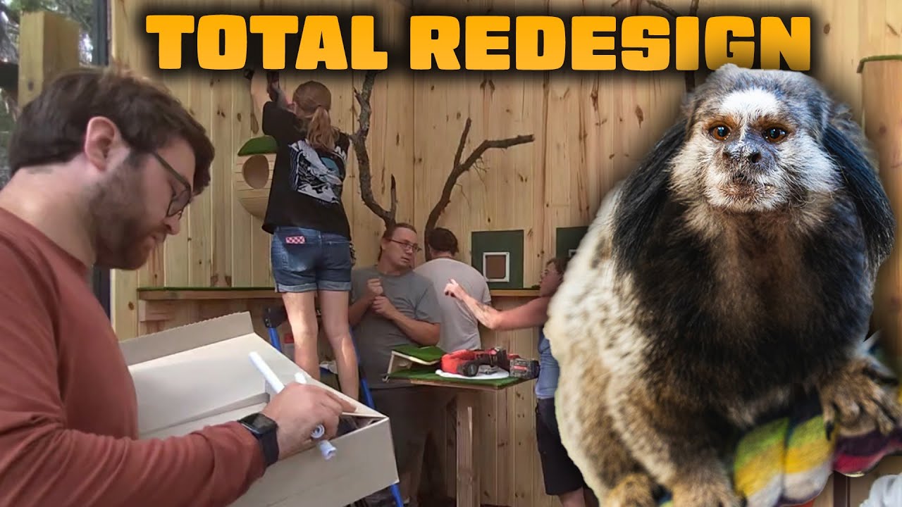 Redesigning Our Marmoset Enclosure