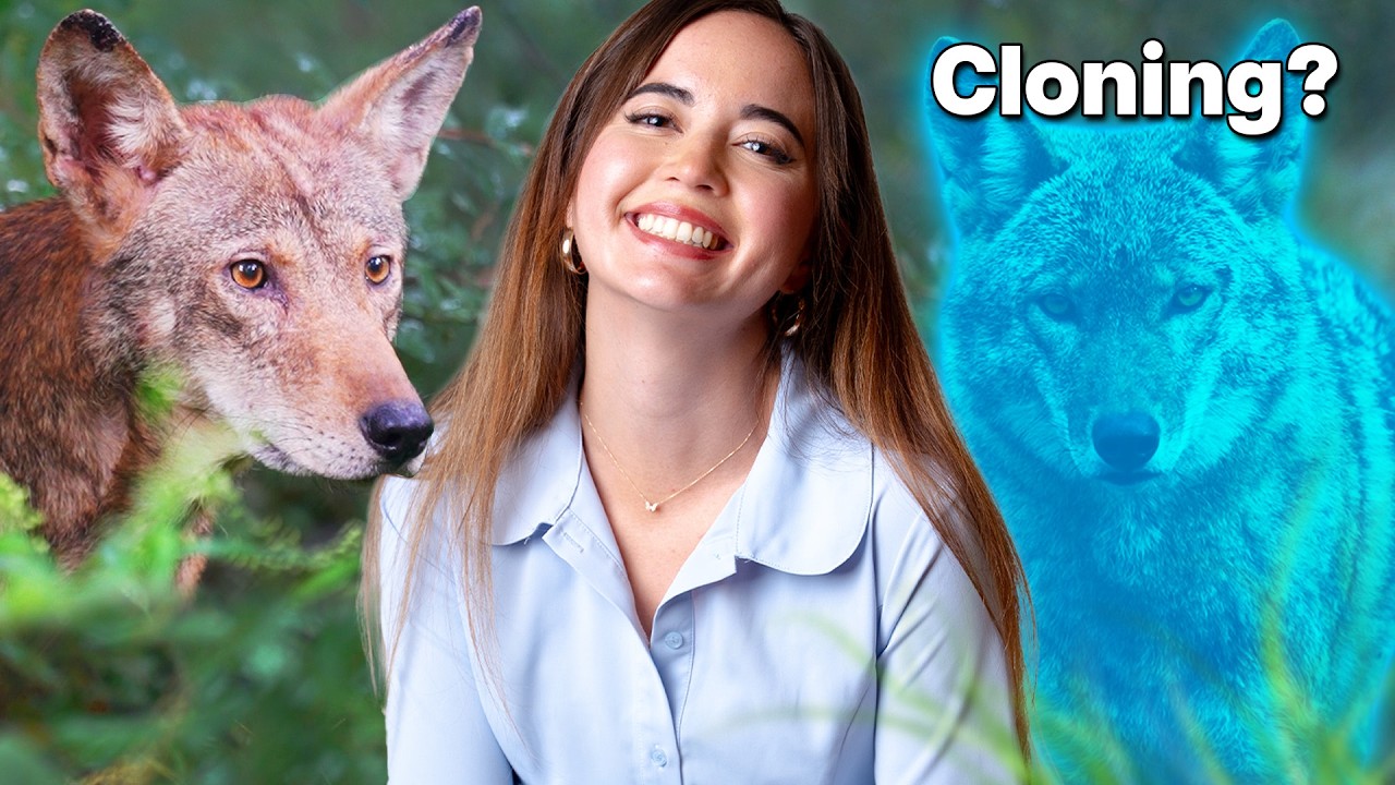 The Insane Way Alveus Can Help Endangered Species