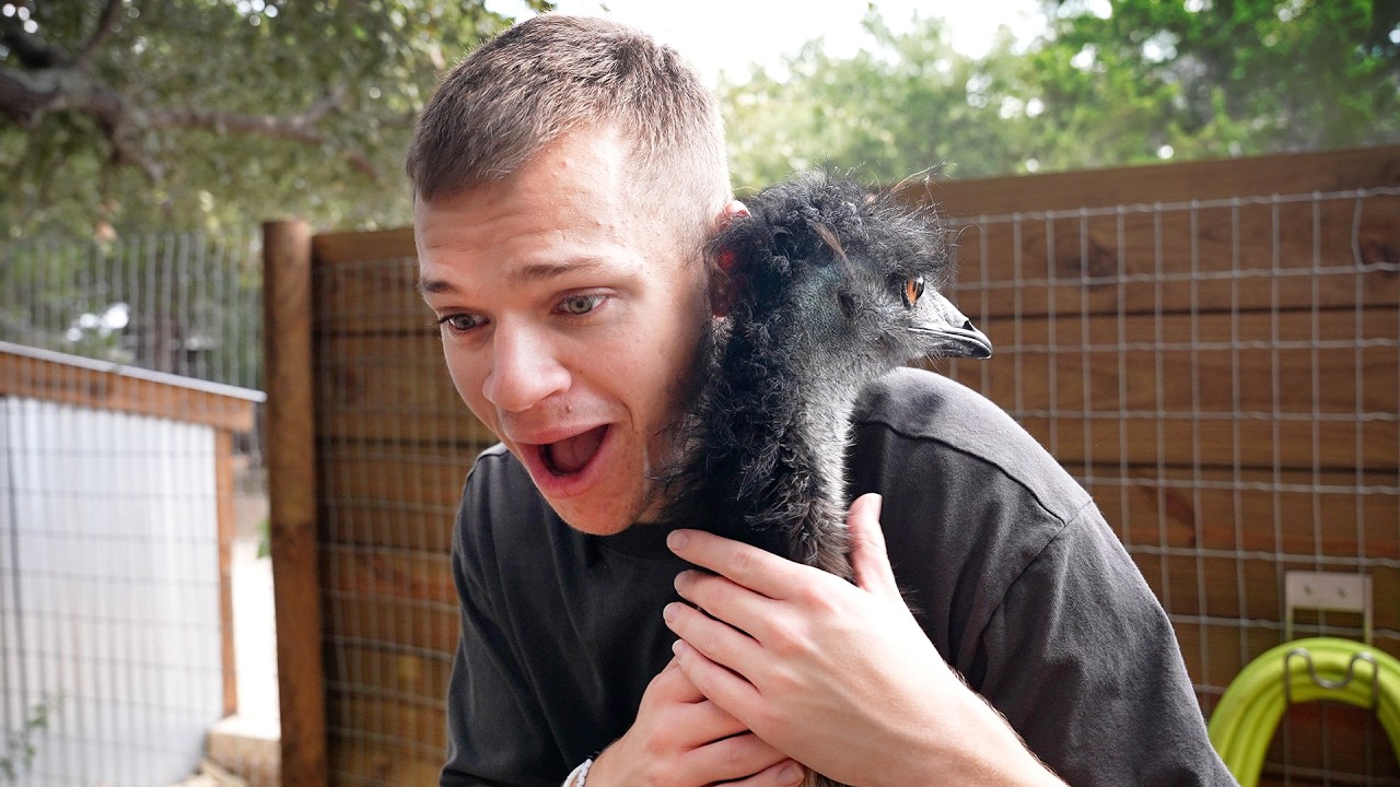 Jynxzi Conquers His Fear of Animals