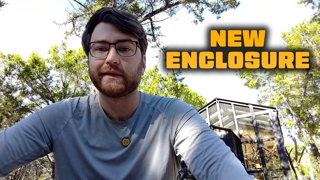 Bird of Prey Enclosure Updates with Connor