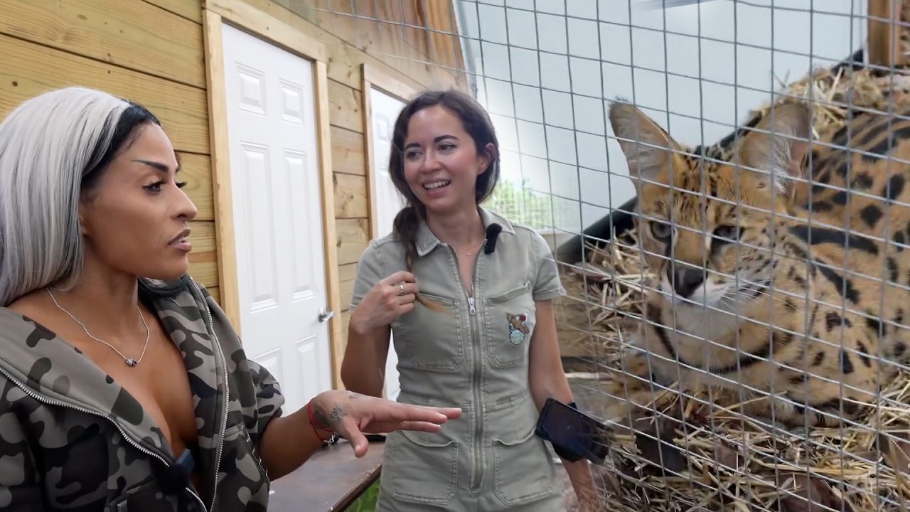 Zelina Vega Meets Our Rescued Serval!