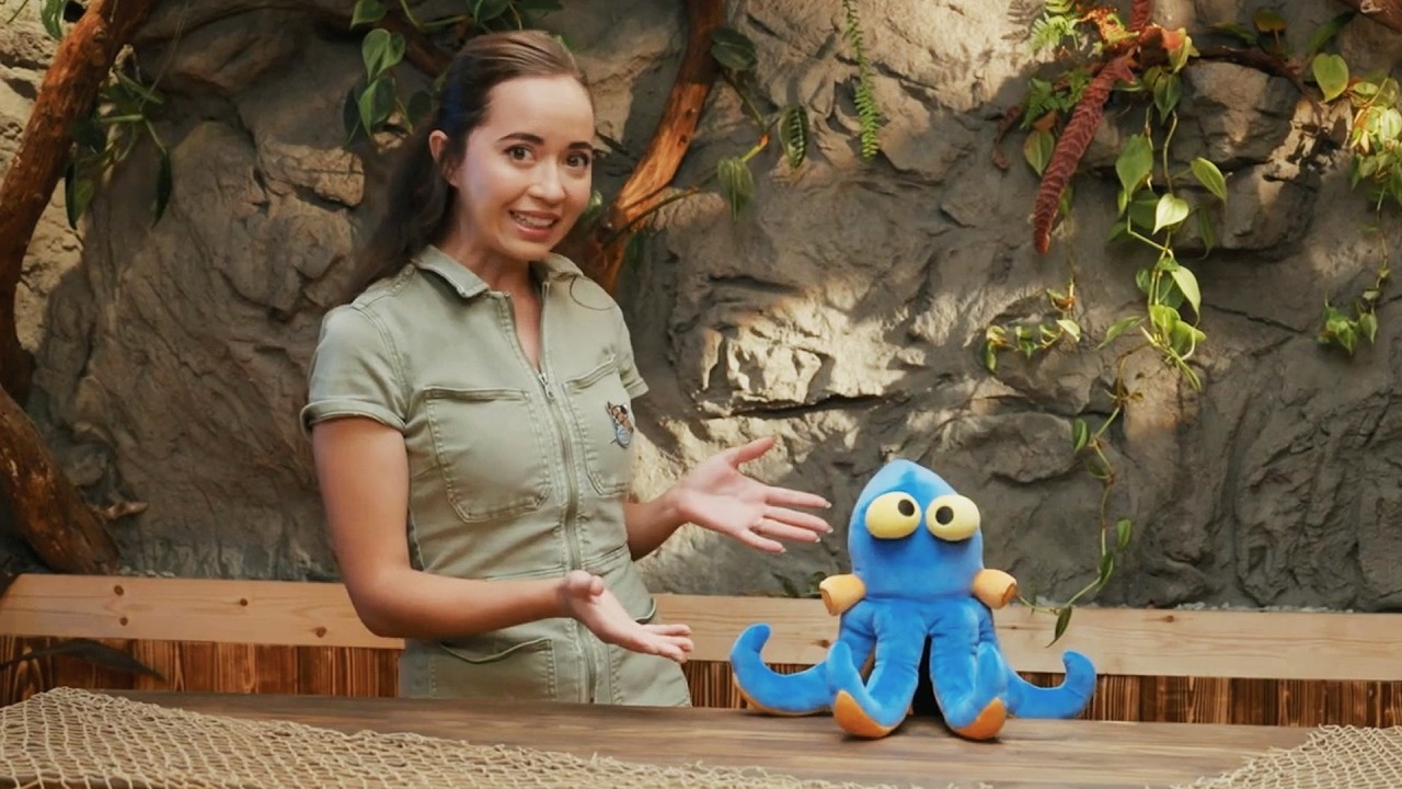 Alveus Sanctuary’s Mission | Episode 3 of Deep-Sea Fun with Darwin's Paradox!