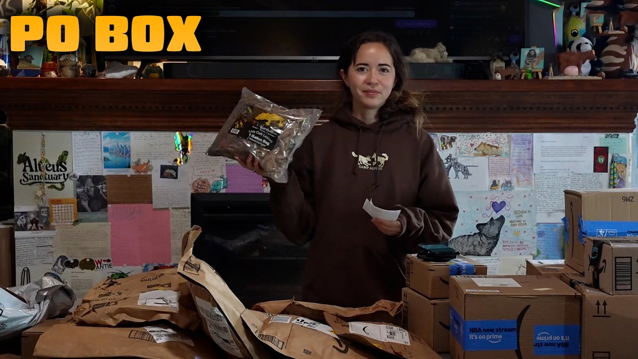 SUPER Show and Tell with Maya!