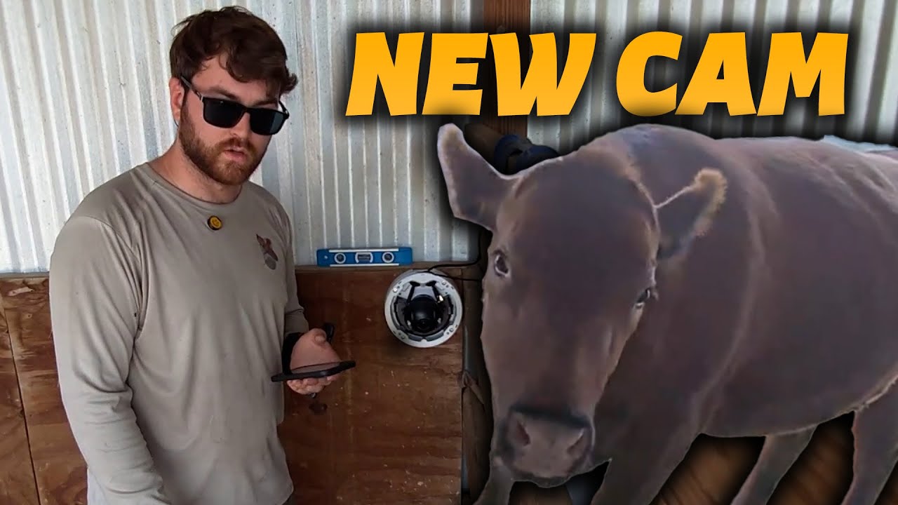 INSTALLING NEW WINNIE CAM! | With Connor