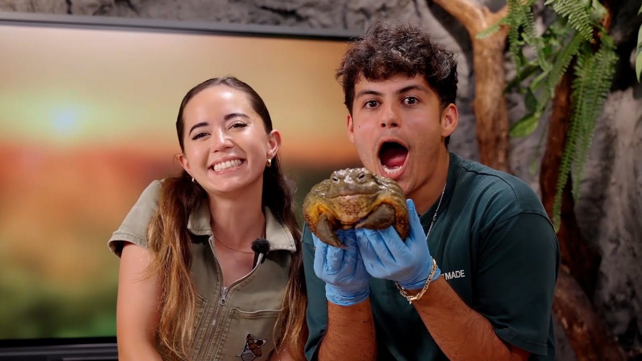 StableRonaldo visits Maya at her Animal Sanctuary!