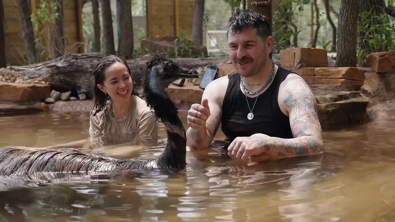 We Threw Our Emus a Pool Party with Julien!
