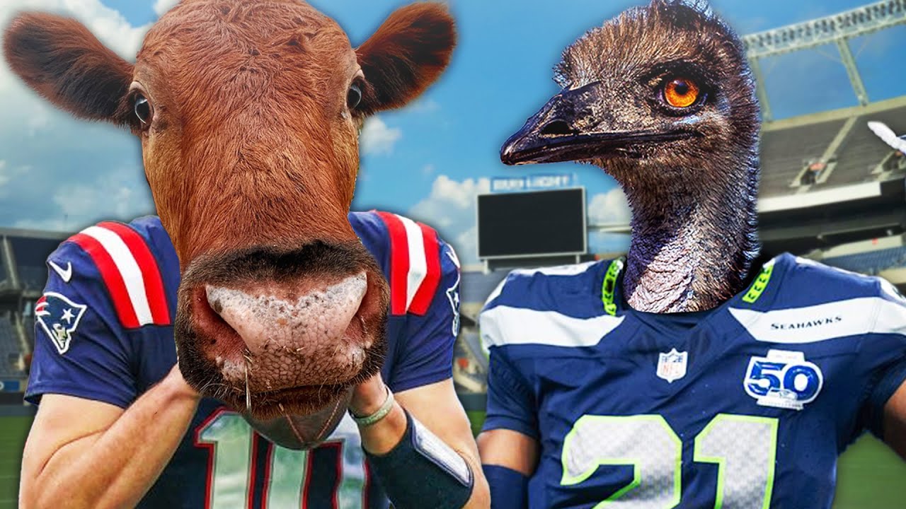 Alveus Ambassadors Leak Superbowl Winner
