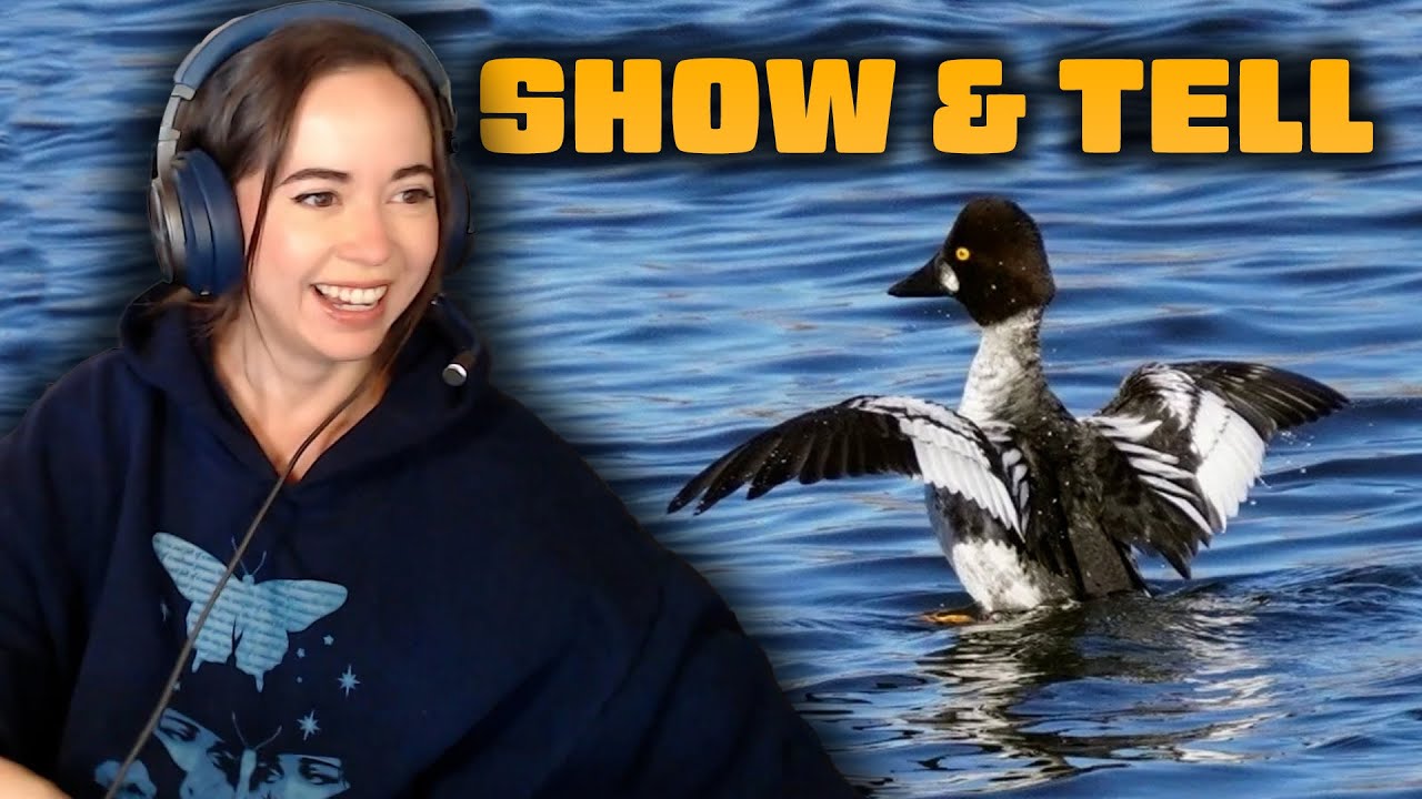 Show and Tell with Maya!