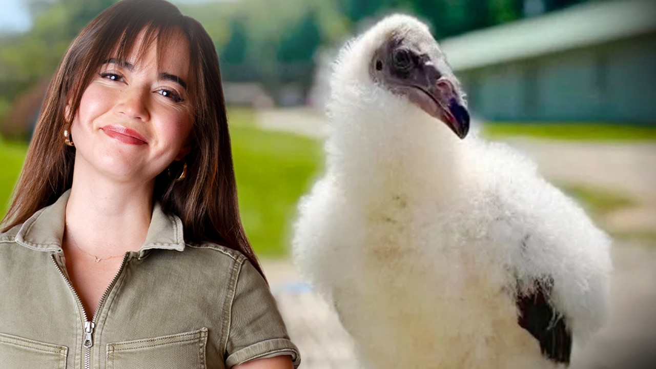 We’re Rescuing a New Bird!!