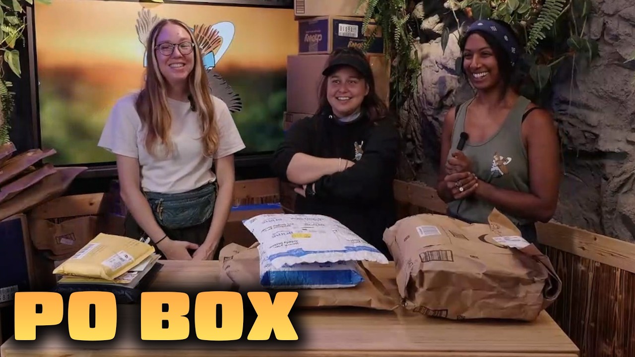INSANE PO Box Opening with Animal Care Staff!