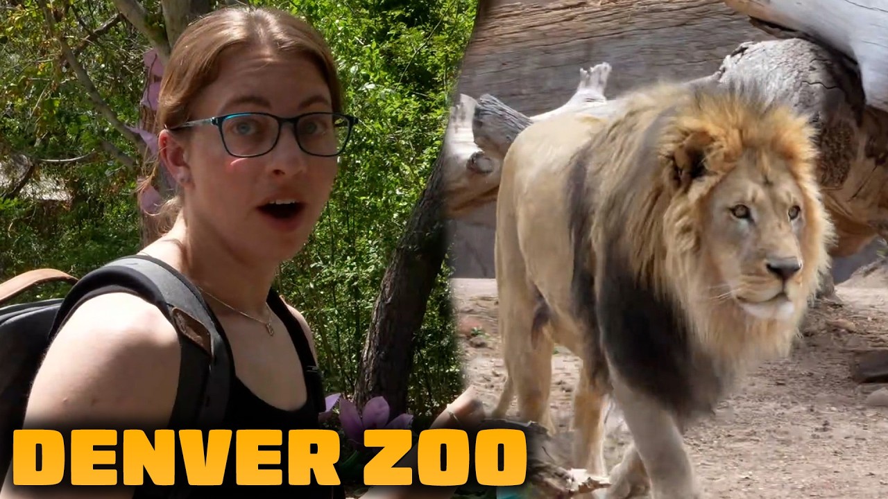 Exploring the Denver Zoo with Kayla!