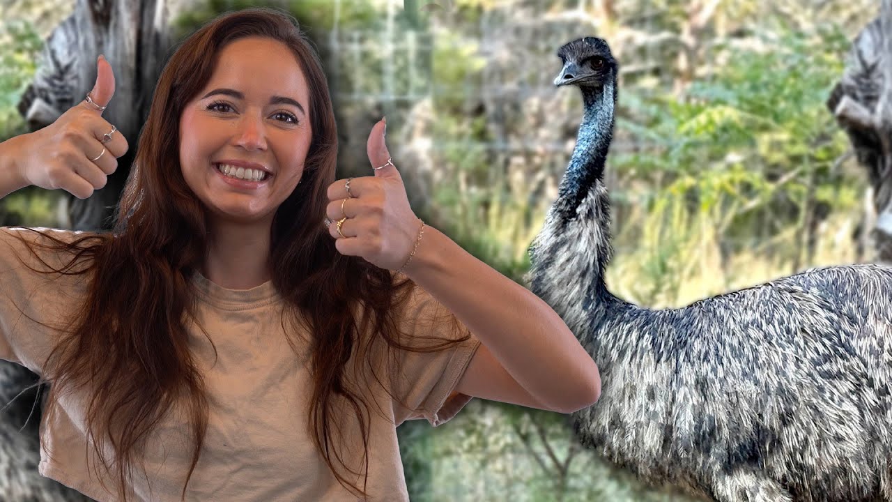 Our New Emu Ambassador!