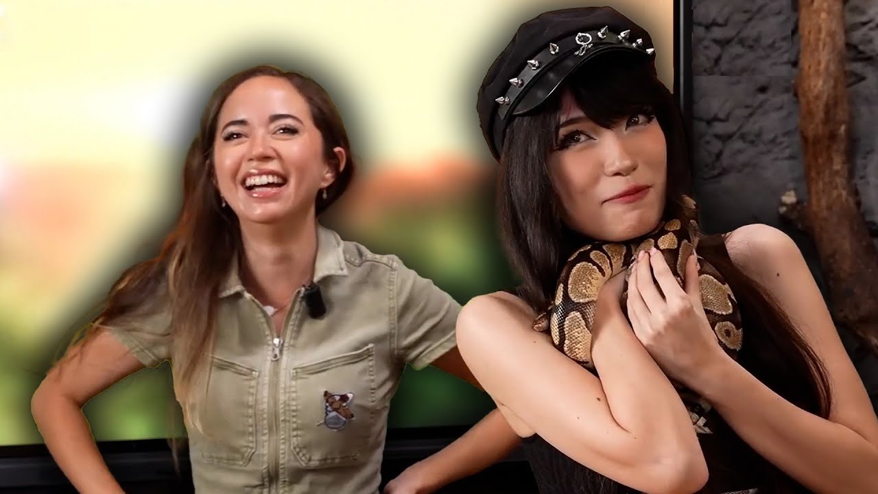 How Emiru Raised $50,000 For Maya's Animal Sanctuary