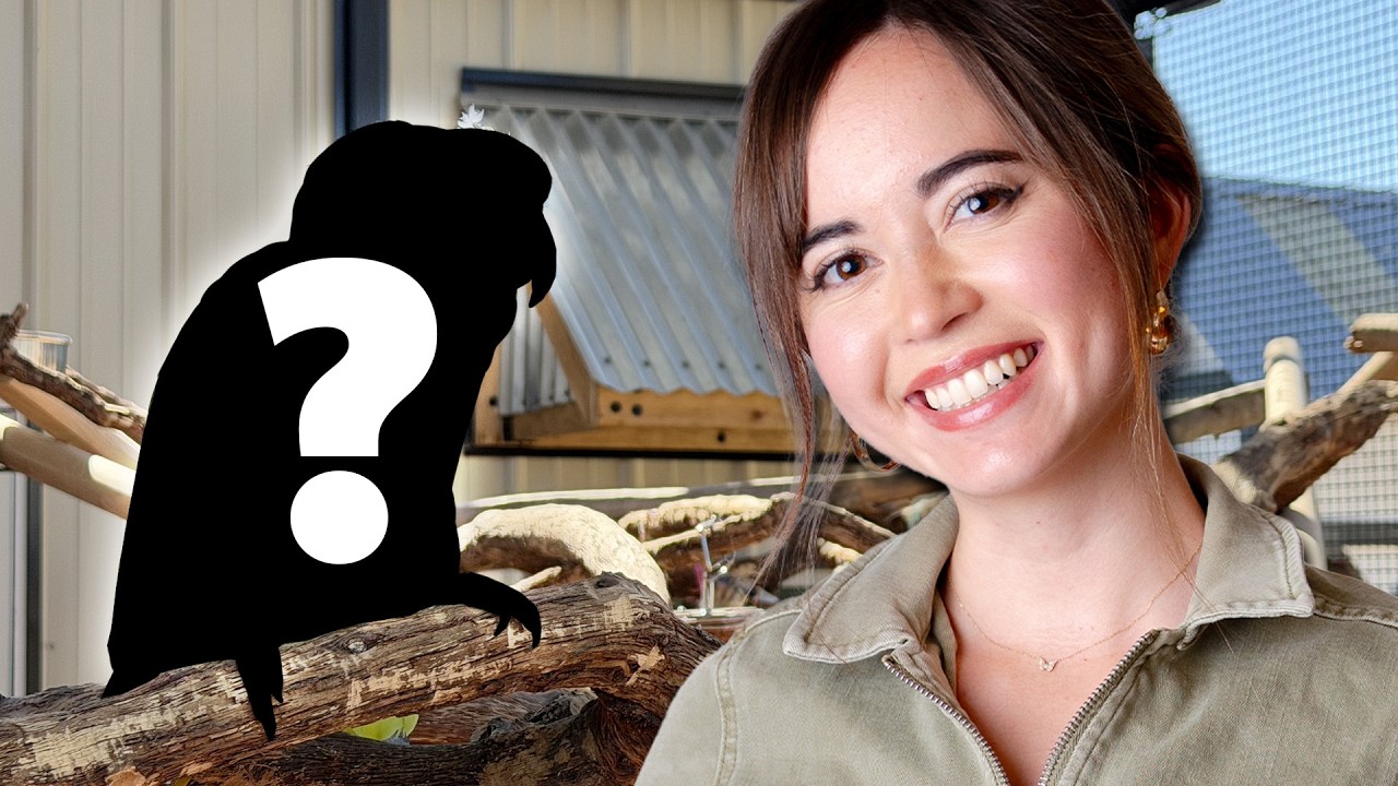 Revealing the Newest Ambassador at My Animal Sanctuary