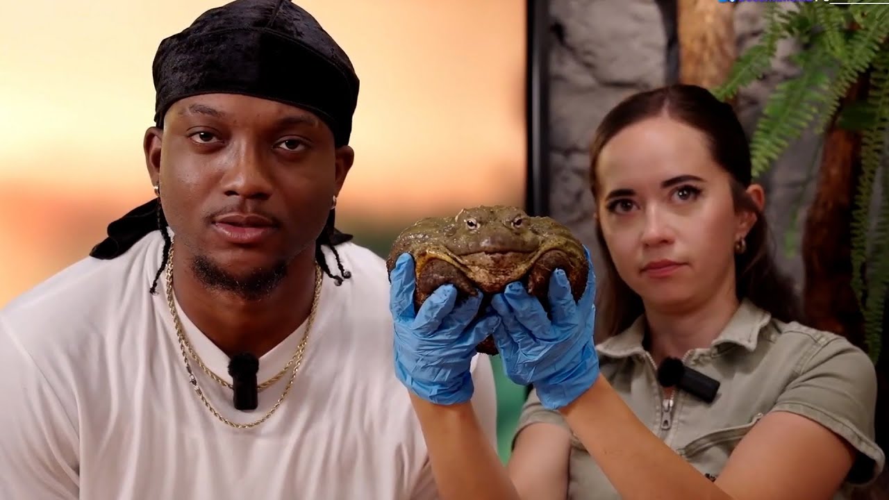 YourRAGE visits Maya at her Animal Sanctuary!