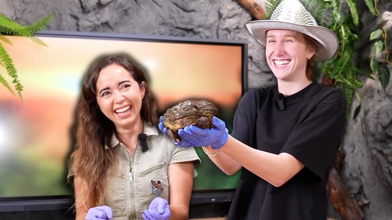 KatieB visits Maya at her Animal Sanctuary!