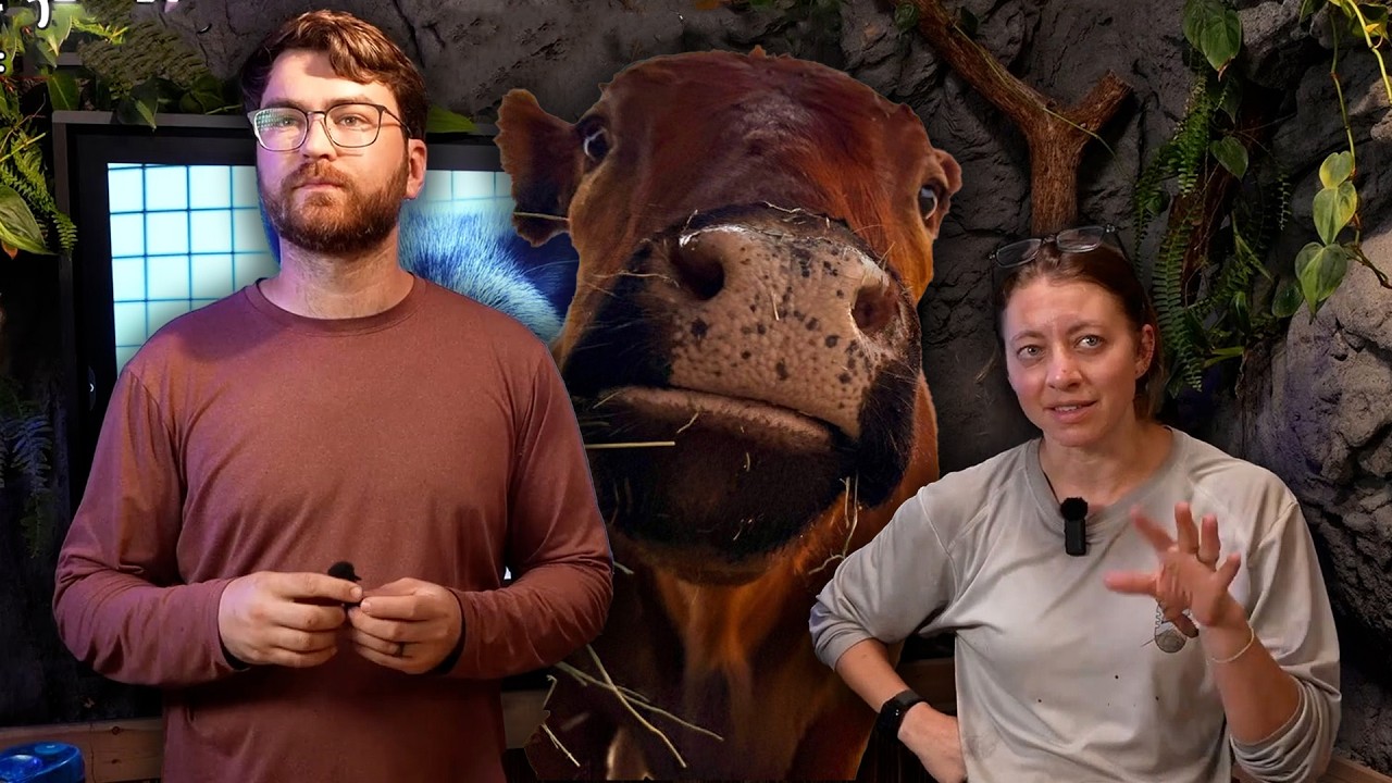 Winnie + Donkeys Vet Visit Recap