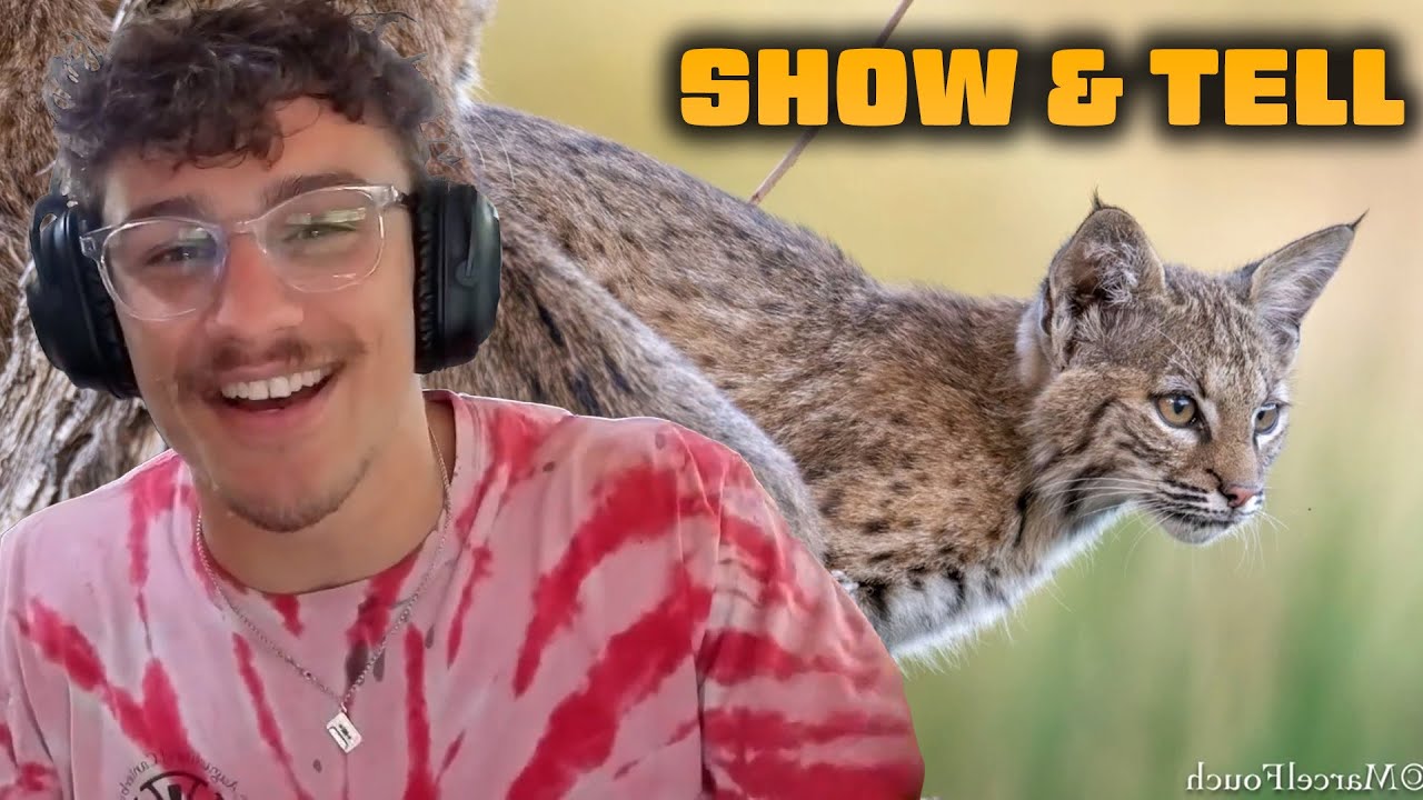 Show and Tell with Chandler!