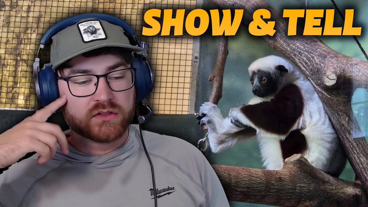 Analyzing Enclosures with Connor | Show & Tell