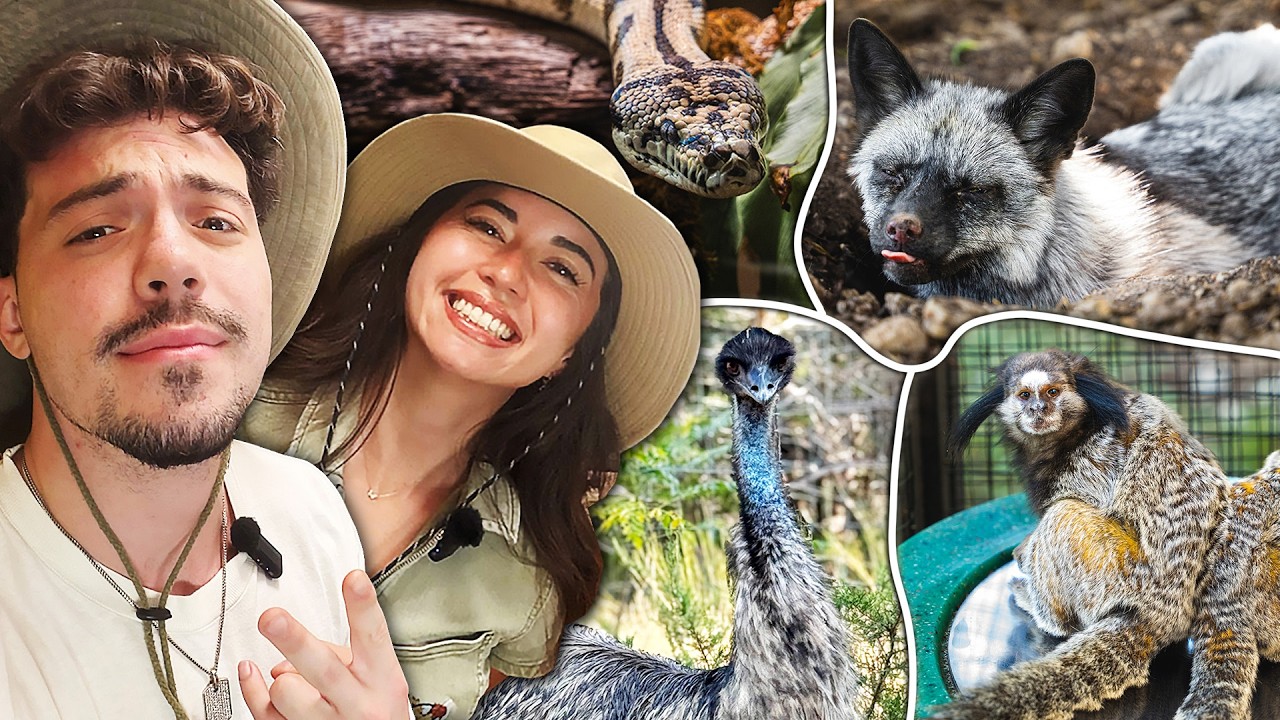 Adapt Visits Our Animal Sanctuary