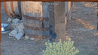 Barrels