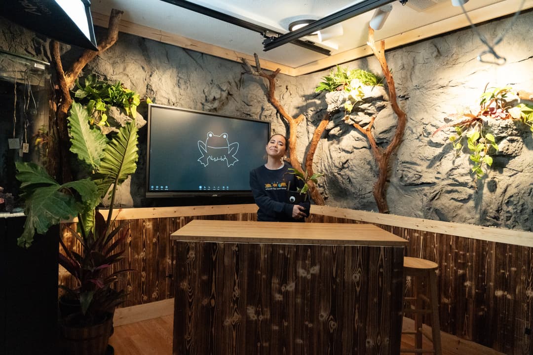The Alveus studio where educational live streams are produced
