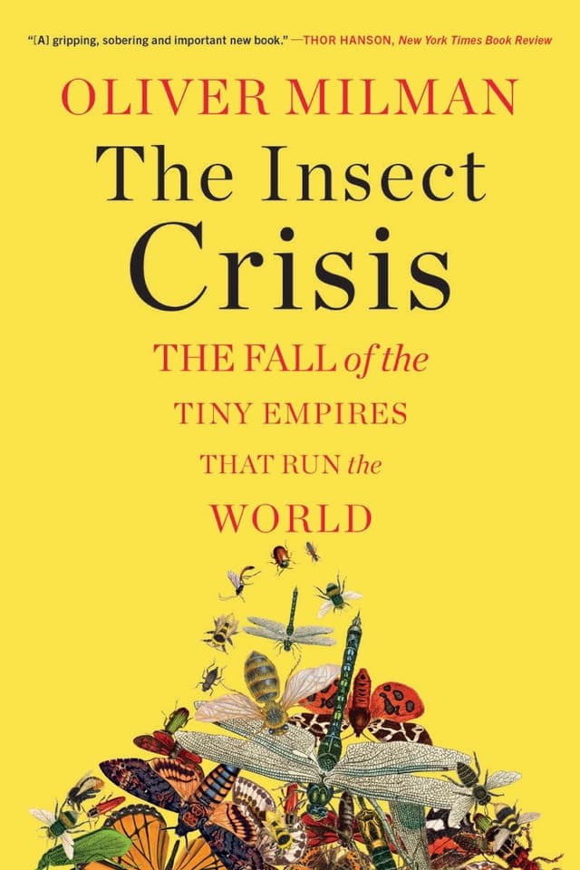 The Insect Crisis by Oliver Milman