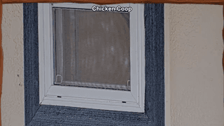 Window