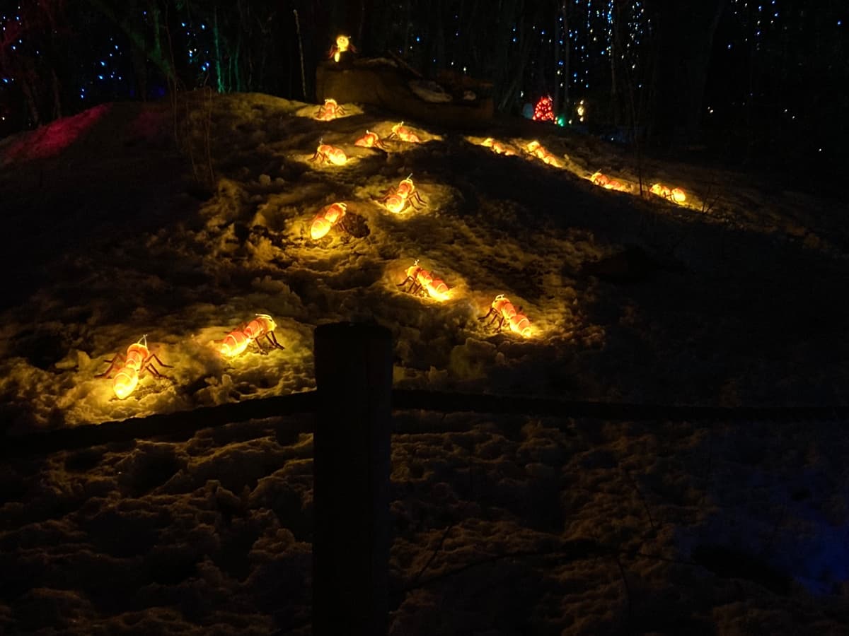 Many large light-up ant or termite decorations