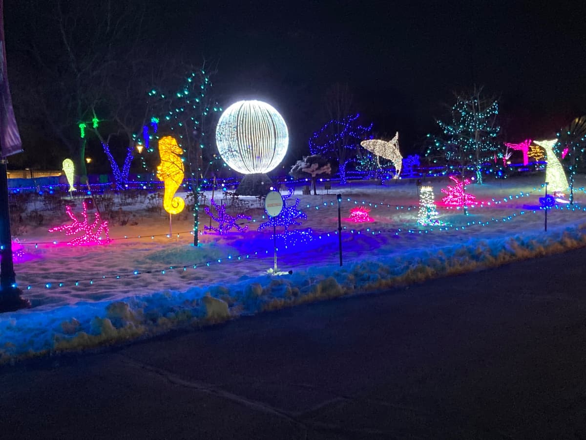 A holiday light display set up in a snowy area, meant to look like an underwater scene. There’s a seahorse, dolphins, coral, jellyfish