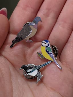 A close-up photo of a hand holding three enamel RSPB bird badges, each shaped like a different bird: a blue tit, a wood pigeon and a magpie.