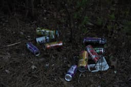 An assortment of cans and trash on the forest floor