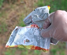 A picture of me holding two discarded crisp (chip) packets, with a moth having taken residence on one of them