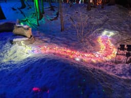 A holiday light sculpture of a millipede