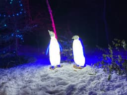 A holiday light sculpture of two penguins