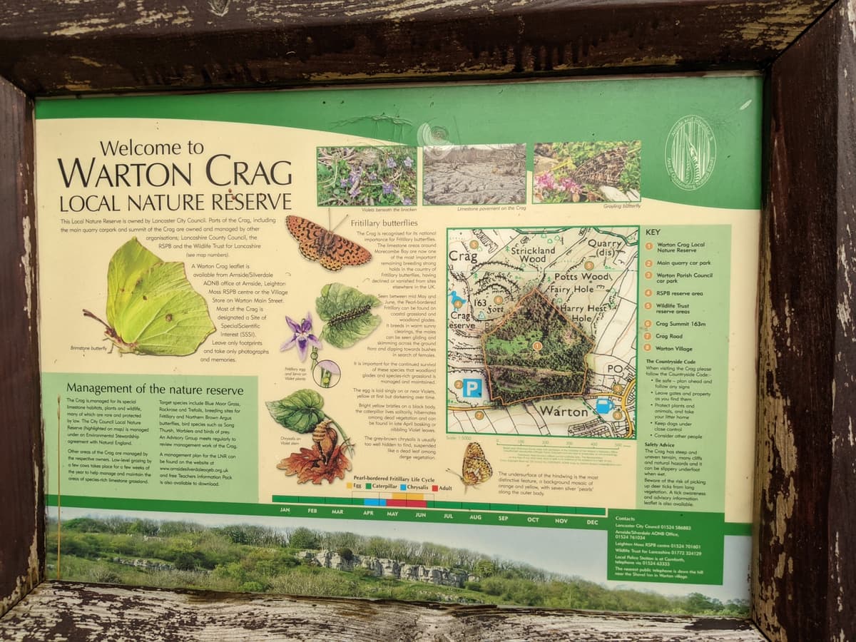 An Information board featuring a small map of the area, pictures of a brimstone butterfly which looks like a leaf, and other butterflies with some key information about them and where/ when to find them.
