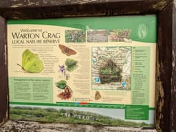 An Information board featuring a small map of the area, pictures of a brimstone butterfly which looks like a leaf, and other butterflies with some key information about them and where/ when to find them.