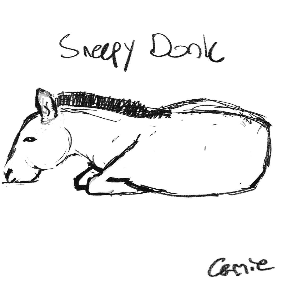 Sketch of Seranno (domestic donkey) lying down with his front legs tucked in and his snoot resting right on the dirt.