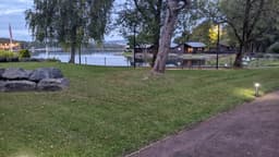 A photo taken in the early evening showing Pine Lake with still water, and trees in the foreground. A small group of swans rests on the grassy bank to the right. To the left there are string lights, and the reflections of cabin lights on the lake.