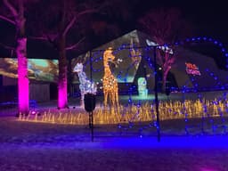 A holiday light sculpture of two giraffes