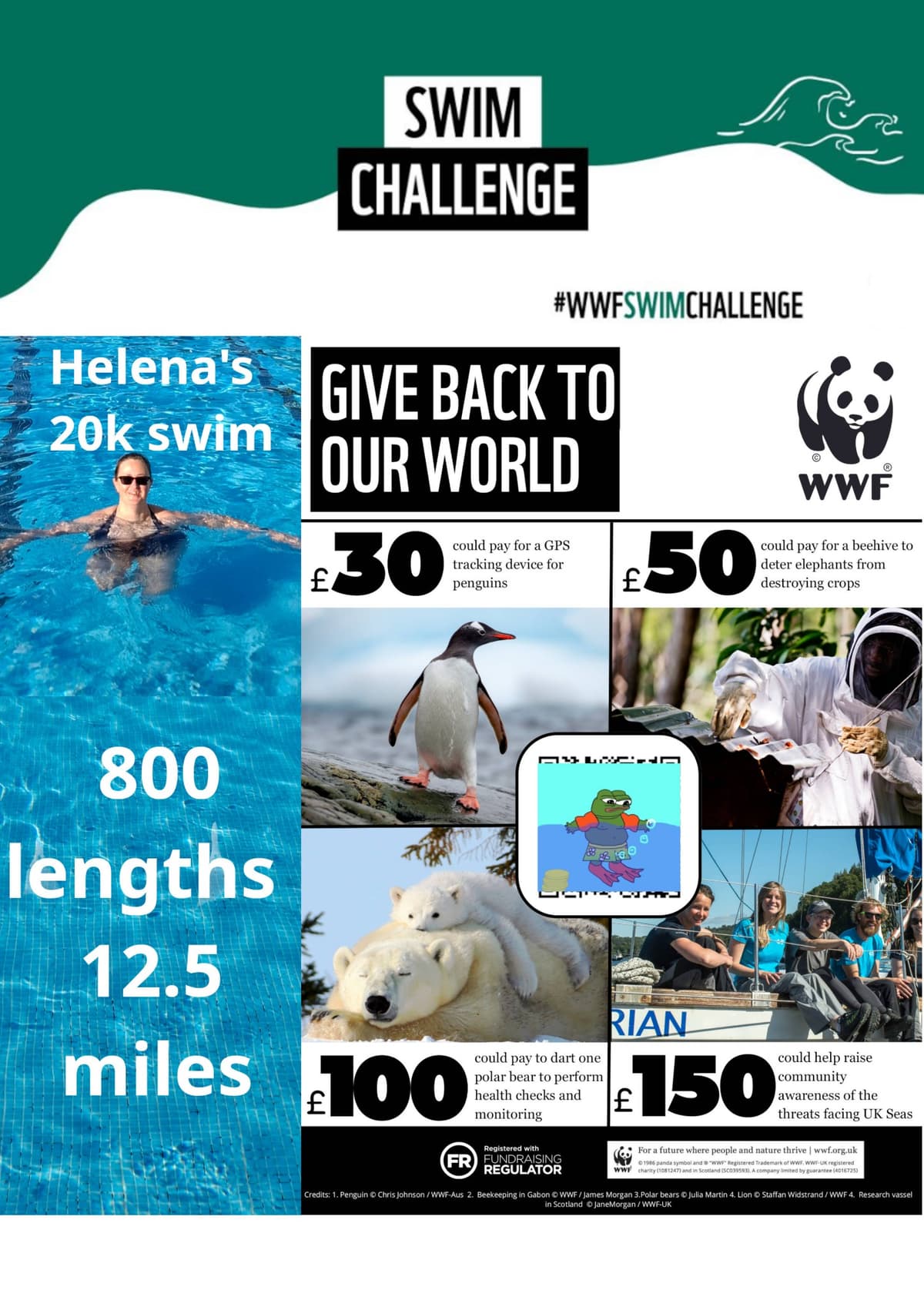 a poster highlighting my challenge and which WWF project raised funds could you toward