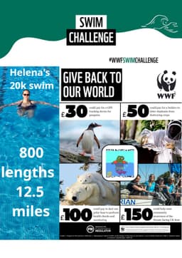 a poster highlighting my challenge and which WWF project raised funds could you toward