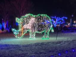 A holiday light sculpture of a rhino